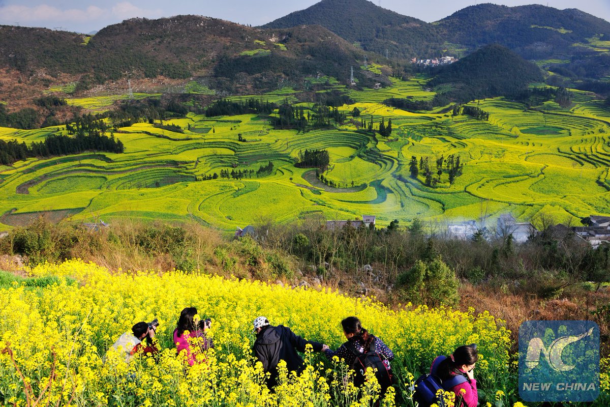 XHNews's tweet photo. Hello, it's spring, stop yawning and come out to meet some flowers https://t.co/f4UfCDUC5O