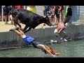 1970Nikolya's tweet photo. #Funny_Fails, Прикол https://t.co/DxdJGCIB7v, https://t.co/Gth47O0Upz
