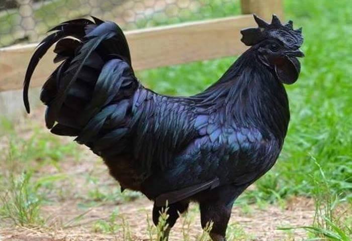 qw_joe's tweet image. 