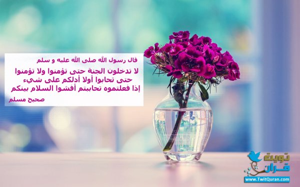 ql507's tweet image. قال رسول الله (صلى الله عليه وسلم) لا تدخلون الجنة حتى تؤمنوا ولا تؤمنوا حتى تحابوا #تويت_حديث  #ﷺ