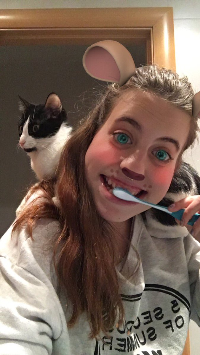 xgilinskyrauhl's tweet photo. La foto graciosa es un rato o sino mirad la cara de mi gato!! 🐱💕 @LiveNationES #5SOSFanBCN https://t.co/MNzMKtWEas