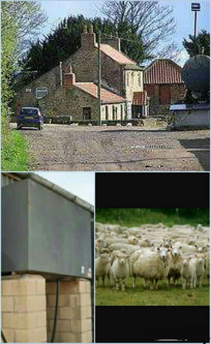 TeamJCIB's tweet image. JCIB Security Farm Watch