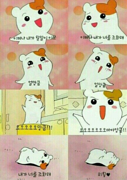 정국 유저 tweet media