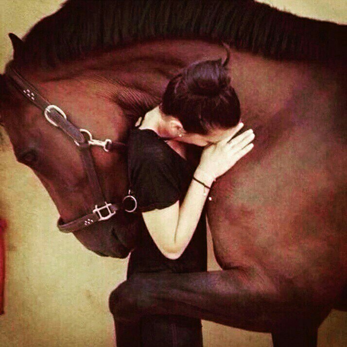 Bazı hayvanlar insanlardan hadi iyi sevmeyi biliyorlar