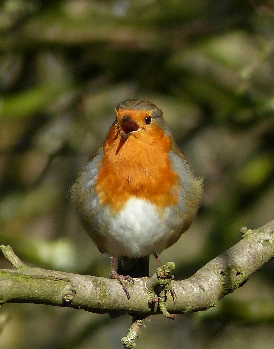 Alan Wrightson tweet media