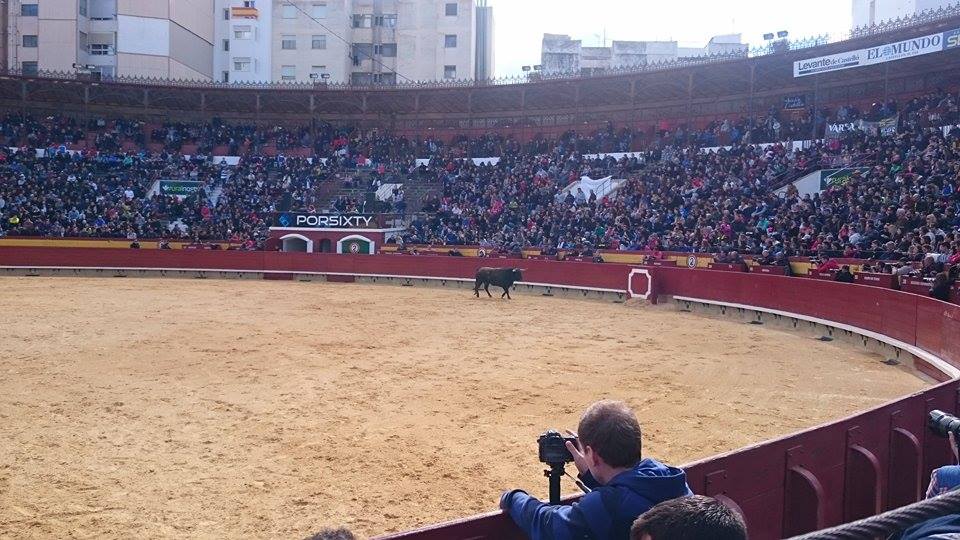 arribestaurinas's tweet photo. Silbidos para el jurado, tras la elección de los finalistas. Salió el toro de la final, con una buena presencia. https://t.co/hr4ZpPjNi2