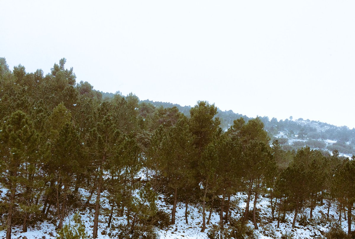 Radio Albacete tweet media