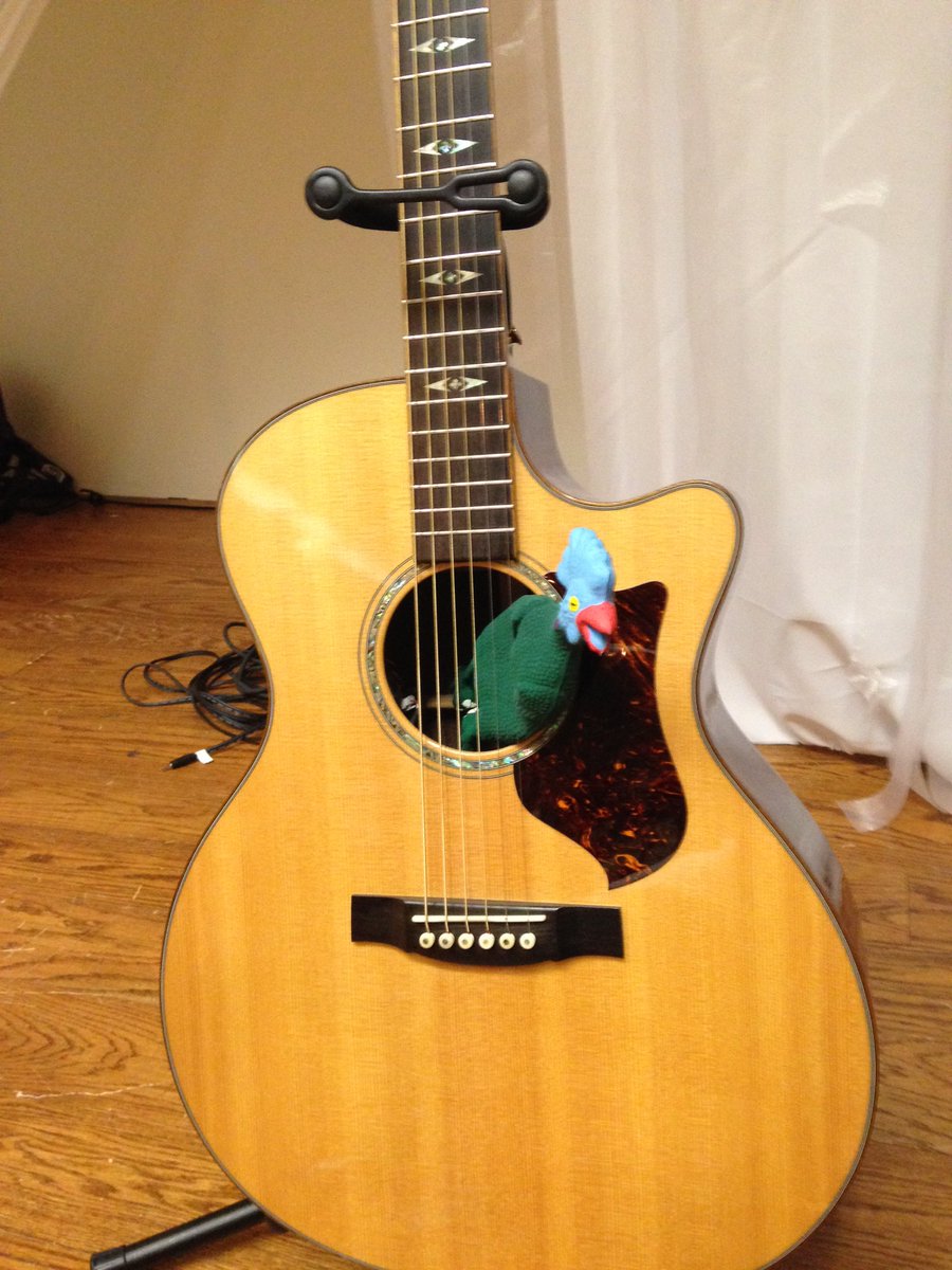 laurensnider310's tweet photo. The chicken missed Jacqui's guitar so much this year he joined Laura instead @ICCchicks #iccladiesretreat https://t.co/Ut9xQ4L7yH