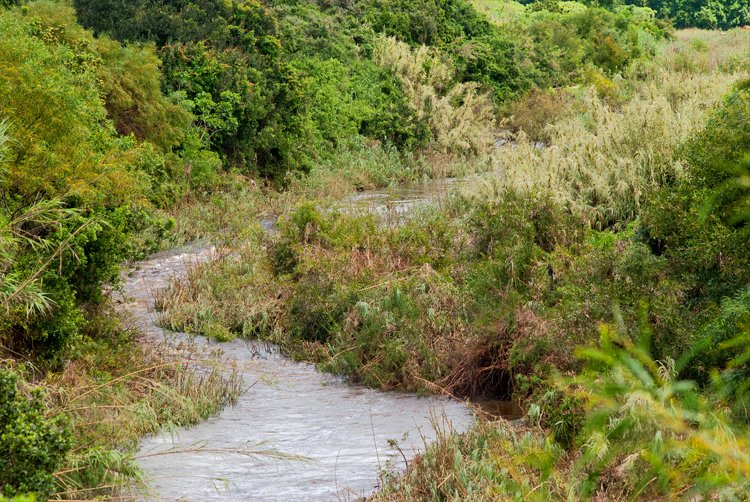 EtienneDelport's tweet image. Baakens River - normally 15 - 20 ft wide at this spot. #RainNeeded