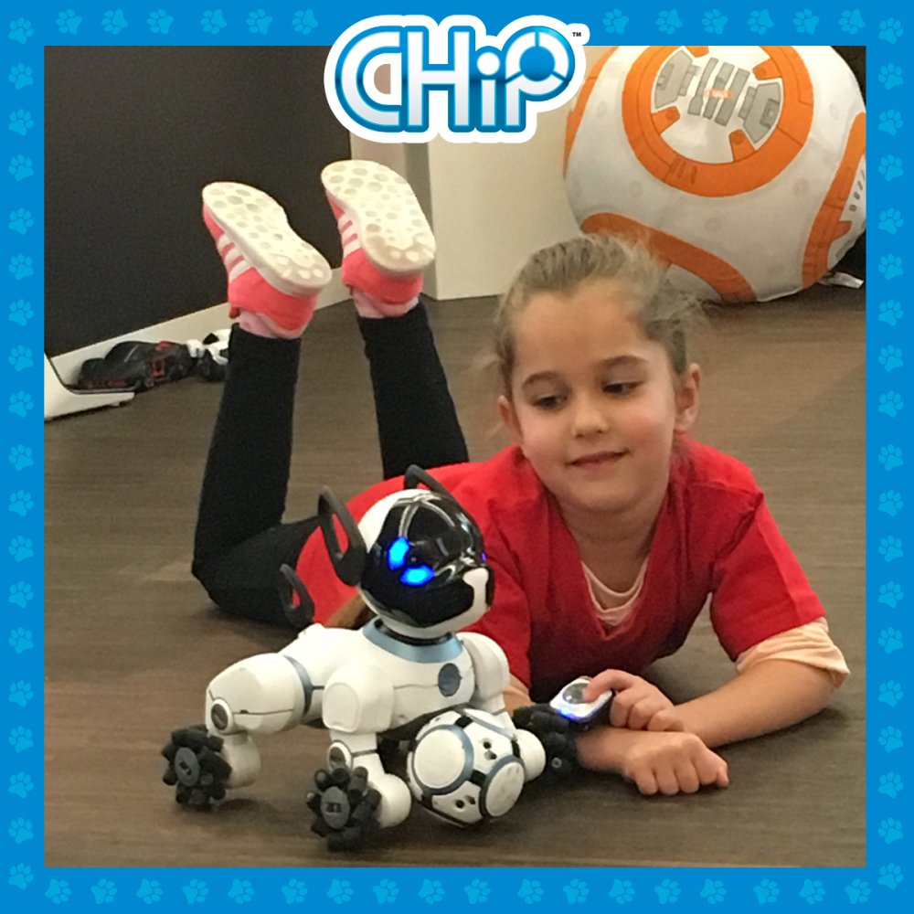MeetCHiPK9's tweet photo. Poor BB8. CHiP gets all the love. #CHiPchampion https://t.co/UPtwp1PhIQ