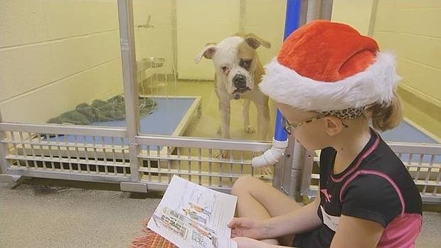 abc_es's tweet photo. Unos niños leen cuentos a perros en Missouri para facilitar su adopción https://t.co/CKd7I7qwzu https://t.co/xE8Y93t2mX