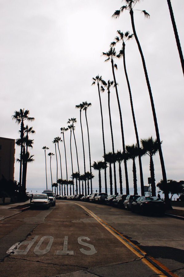 Cali 😍🌴