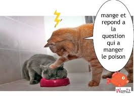 TweetEnLive's tweet image. ReTweet si tu aimes !!!