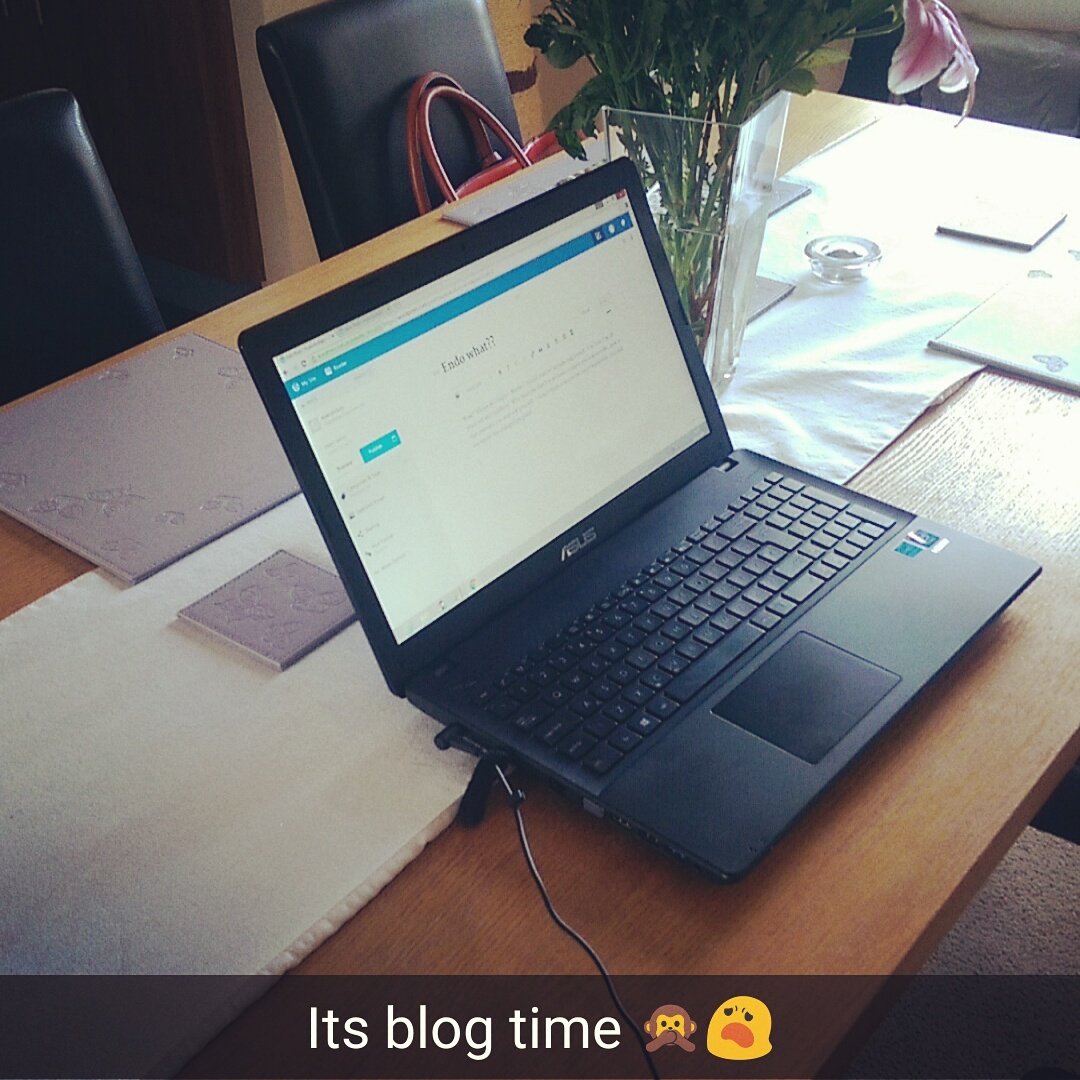 LisaTFFC's tweet photo. #blog time #endometriosis #endolife #endo @SlySerenity https://t.co/nmm1DQD8bx
