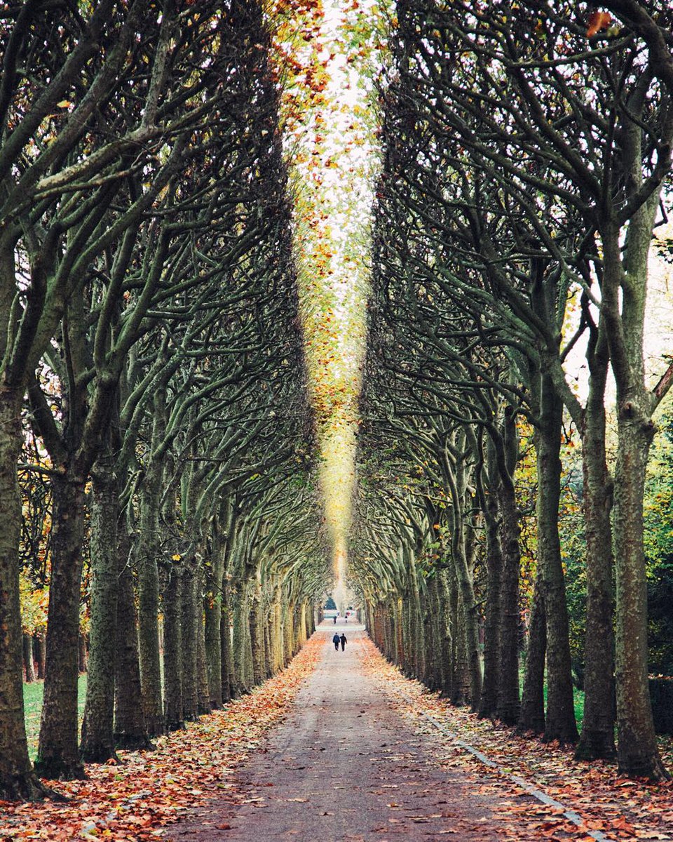 Earthpix tweet media