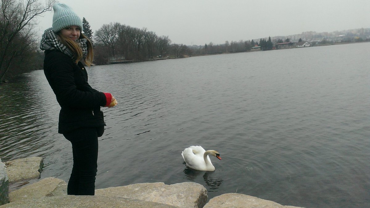 RustyCrew's tweet photo. Krmime labute a lovime kesky #bolevak #geocaching https://t.co/MFJBNdFcs5