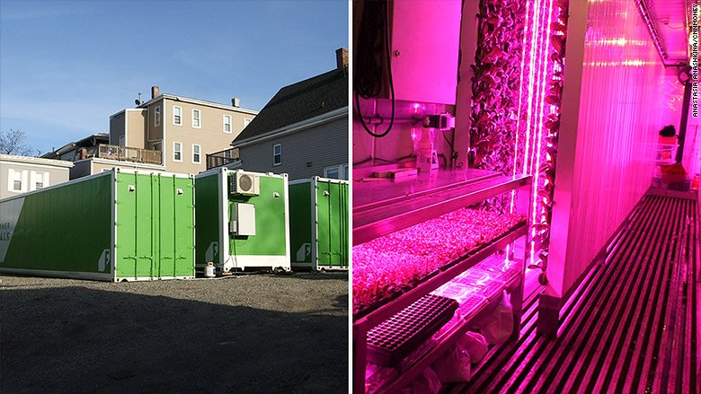 CNNBusiness's tweet photo. This may be the greenest use of a shipping container yet. It's super efficient &amp; it makes $$ https://t.co/wwMyr7aznS https://t.co/eCwSIeCRhh