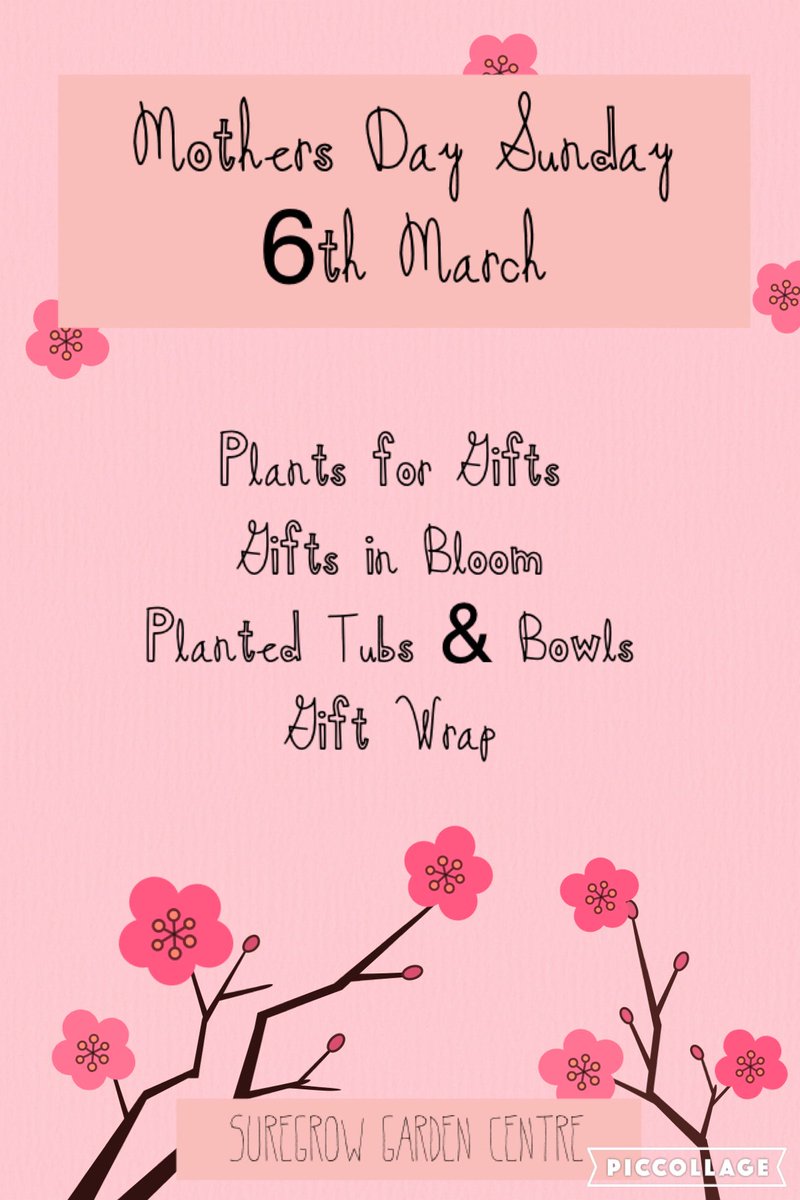 SuregrowGC's tweet photo. Spoil your Mum this Mothers Day Sun 6th March #mothersday #spoilyourmum #giftsinbloom #suregrowgc #localgardencntre https://t.co/rRArYVw4tQ