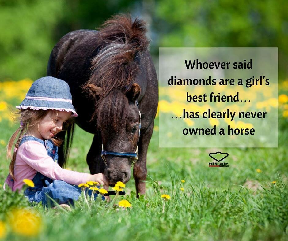 A girl's best friend🐎#horses #equestrian #girlsbestfriend #bestfriend #diamonds  #EquineHour