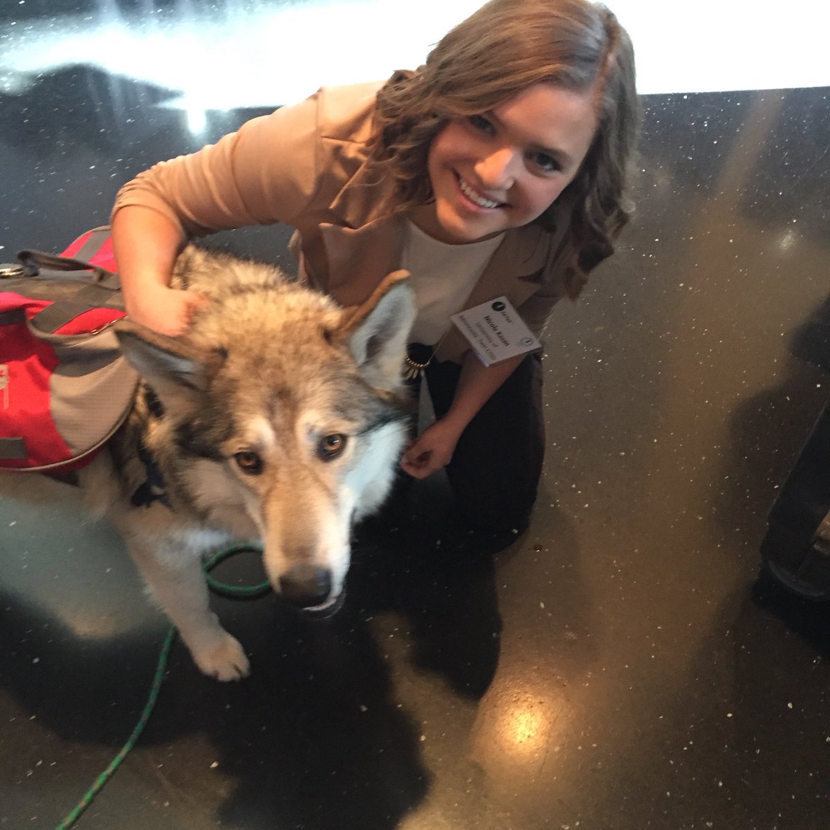 nicoleakazan's tweet photo. So happy I was able to meet Meeko, the mascot for @carmichaellynch I hope my summer is filled with you. #CLWolfpack https://t.co/osnBc9MtbH