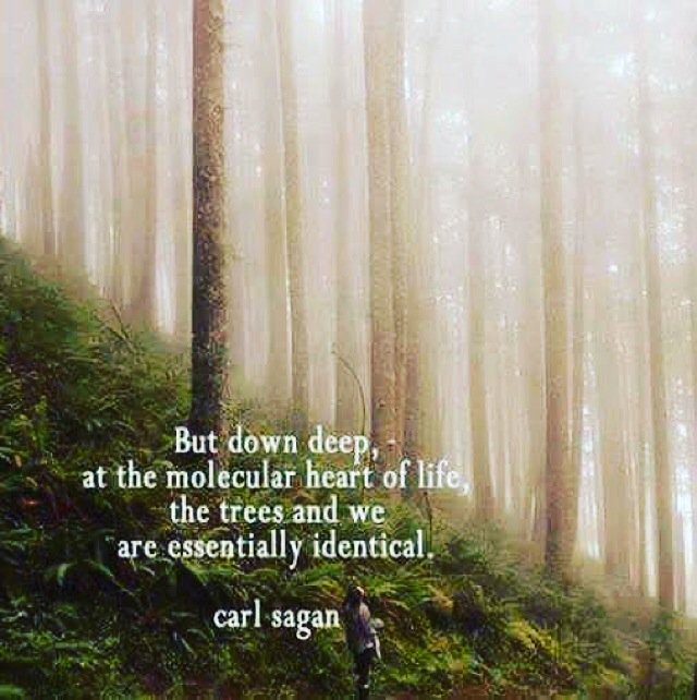 We are all the same. #StayCreative #StayHuman #StayWeird #CreativeHumans #Ch.