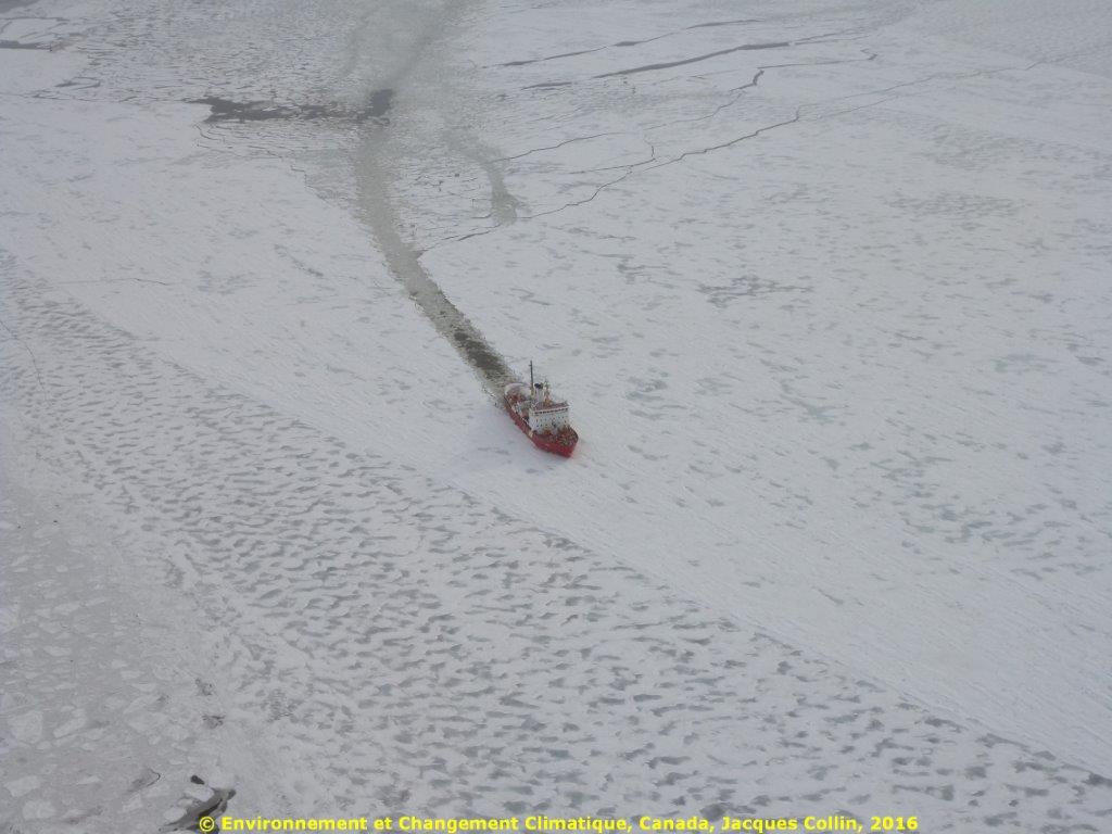 Mpo Gcc Quebec On Twitter La Garde Cotiere Canadienne A L Oeuvre