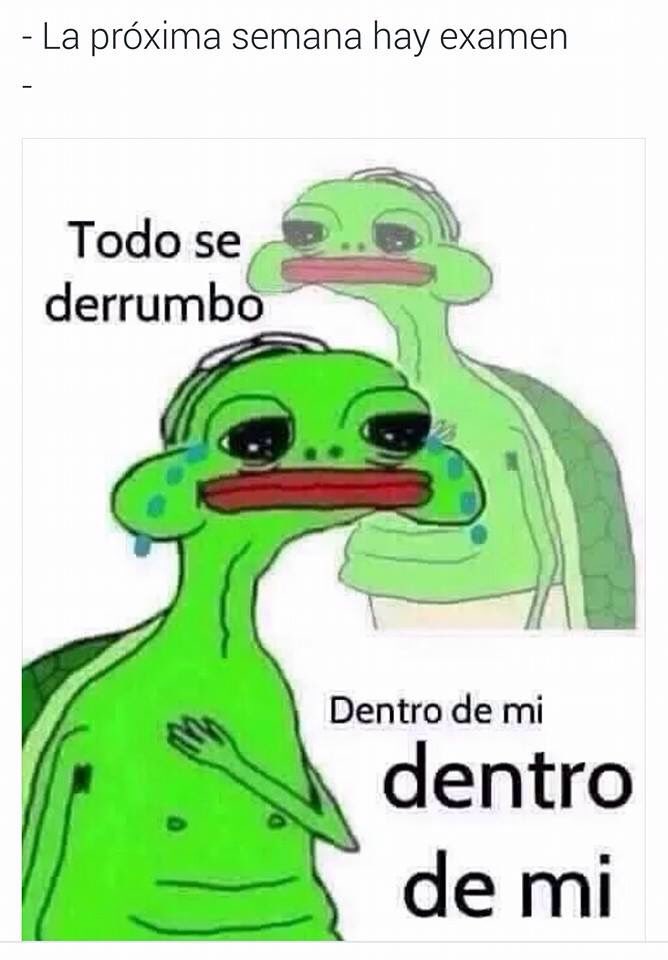 freespiritlive's tweet photo. En mis pruebas de manejo https://t.co/FyTwalDVWp