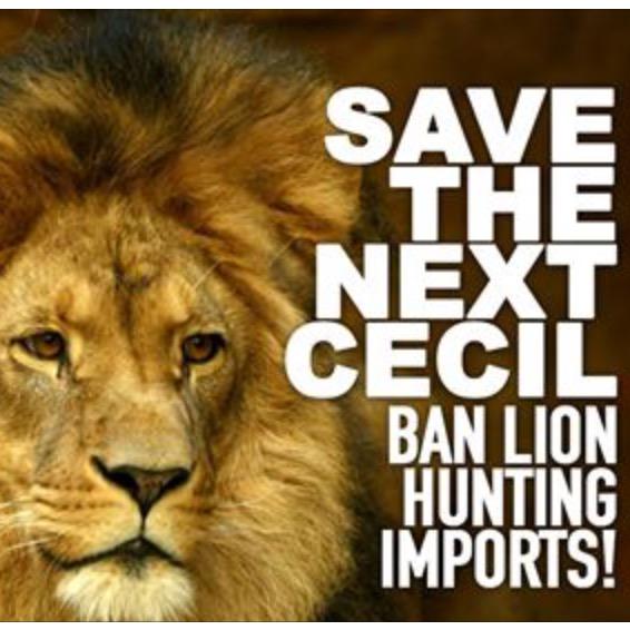 Never Be Silent! #BanTrophyHunting <a href="/kelleyc44132/">Kelley</a> <a href="/CachiaSandra/">sandra cachia</a> <a href="/lil_tigr/">Jaime Cammarata, RD</a> <a href="/kcasa7131/">Kat Casassa</a> <a href="/DFernDC/">Fernandez</a> <a href="/TheGilbert23Mom/">Valerie Collins</a> NoKILL