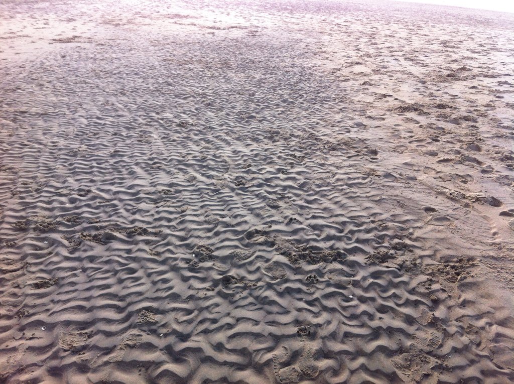 aartje35's tweet photo. 1 zonnestraal maakt nog geen #lente #lekkeruitwaaien #strandloop @katwijk #frissewind #tintelendewangen โบ๏ธ https://t.co/P7AIc99Eb1