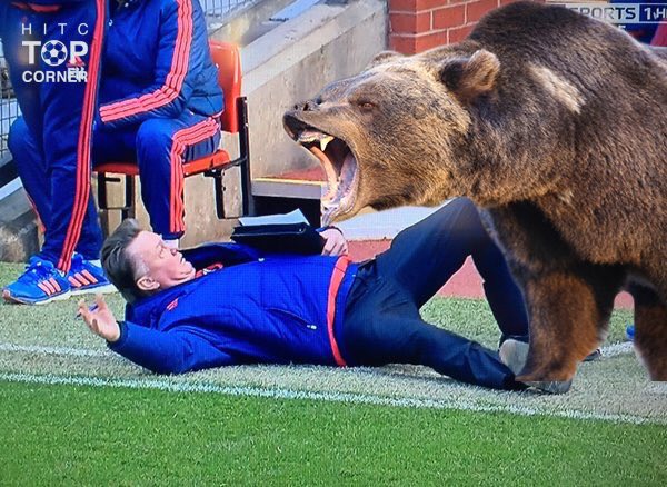Woi ini siapa yg bawa beruang ke OT!! Van Gaal kaget, kan. 😩😩😩