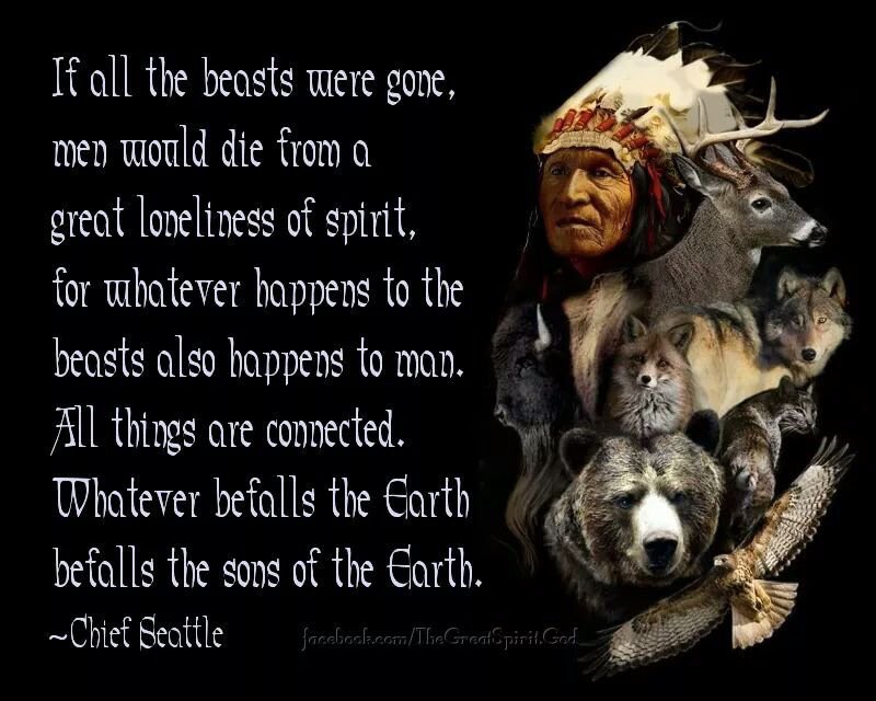 MJMurphy76's tweet photo. #weareallconnected #endtrophyhunting https://t.co/WREUSOJdzb