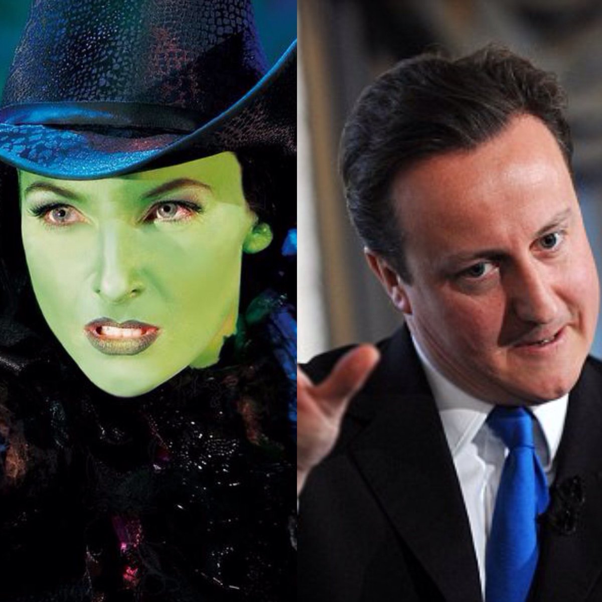 Labour4Animals's tweet photo. #RejectedBroadwayPlays There's also .. 
#Wicked 🙈💀 with wrong cast .. &amp; storyline
@_AnimalAdvocate @rickygervais https://t.co/Jd7yYRDX1C
