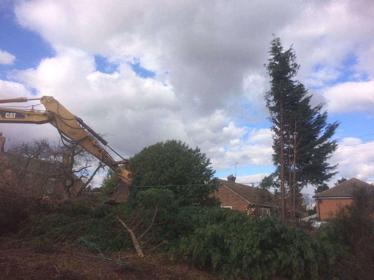 AGRI_VATOR's tweet photo. Trees felled without hitting power lines or neighbour's cars or my house. Now late into night hedgecutting #EndOfFeb https://t.co/UGrdEQaNMN