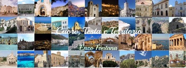 VincenzoFonta12 tweet picture