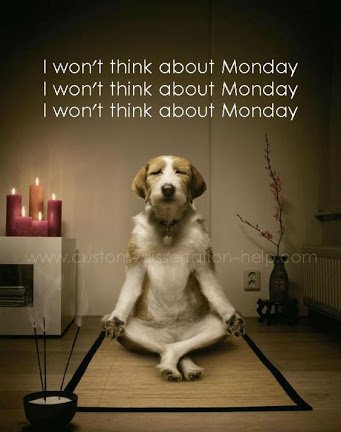 This is me right now......🙈🙈 #mondayblues