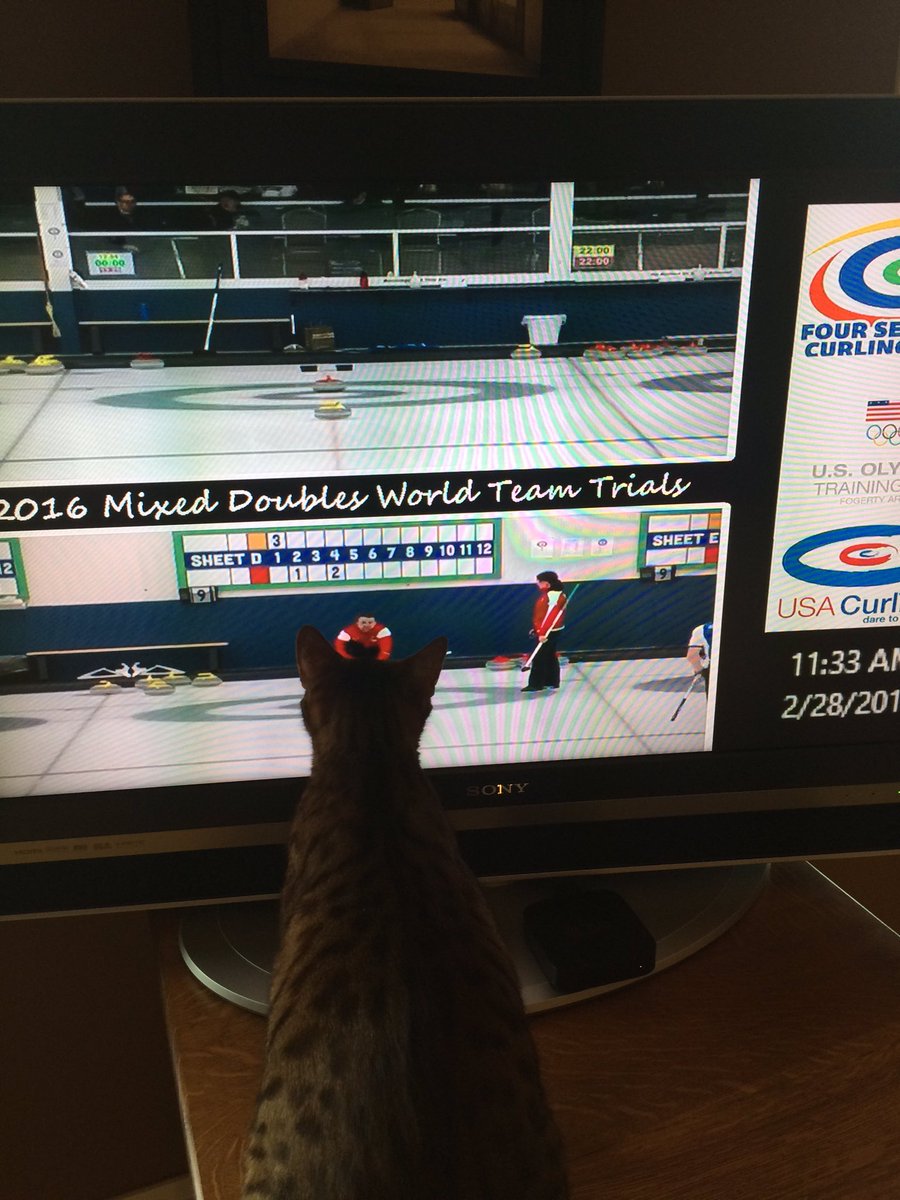 stpauljim's tweet photo. Heading to the gym while #TrainerCat stays home to watch @joepolo1 and @tabcurl try to rally for the win. #curling https://t.co/K3XlouRODH