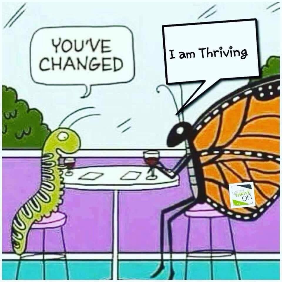 thriversrock's tweet photo. You could change too, with 3 simple steps every morning! Contact me today! https://t.co/CUnfX2dmAG https://t.co/Mlleisf0rX