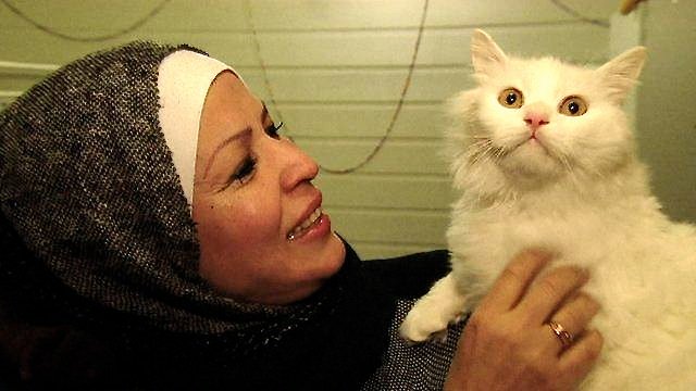 GlblCtzn's tweet image. Kunkush’s epic voyage is much more than just a story about a pet cat—glblctzn.me/1S1bm35 #refugeecats