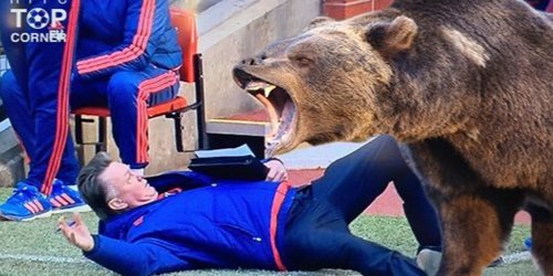 marca's tweet photo. El teatro de Van Gaal, en clave de 'memes' https://t.co/3S4rvio4Lt #ZappingEnLaRed https://t.co/IyAP3jpezJ