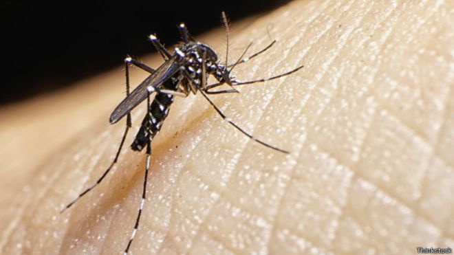 MundoOpi's tweet photo. Zika puede provocar muerte fetal, hidropesía e hidranencefalia
https://t.co/1GgJNKrqRi https://t.co/OvWO8qX5HD