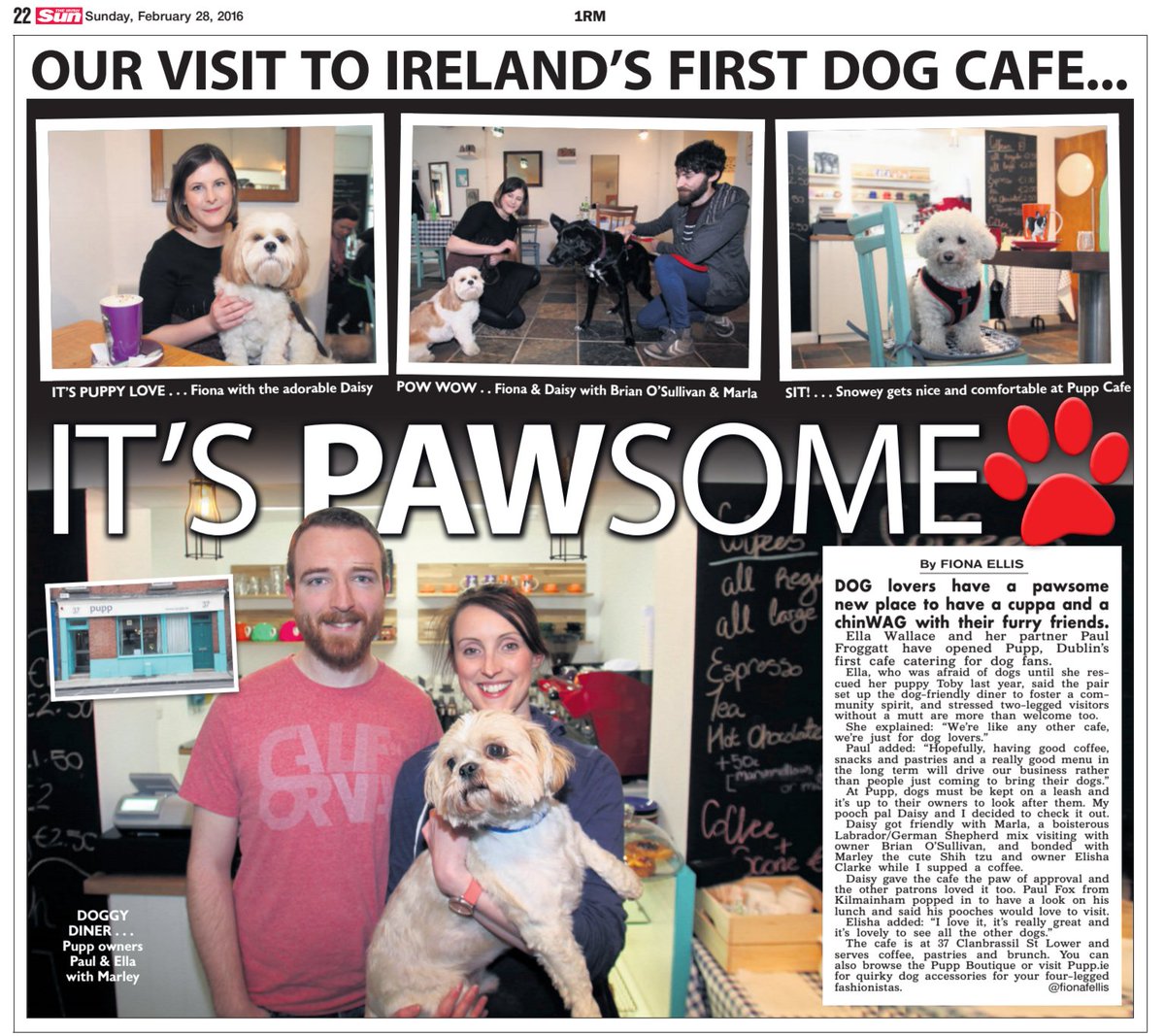 PuppIreland's tweet image. Lovely review in Irish Sun to cap off an extremely busy weekend! Thanks to everyone who came in :) @IrishSunOnline
