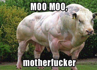LOLGuaranteed tweet picture