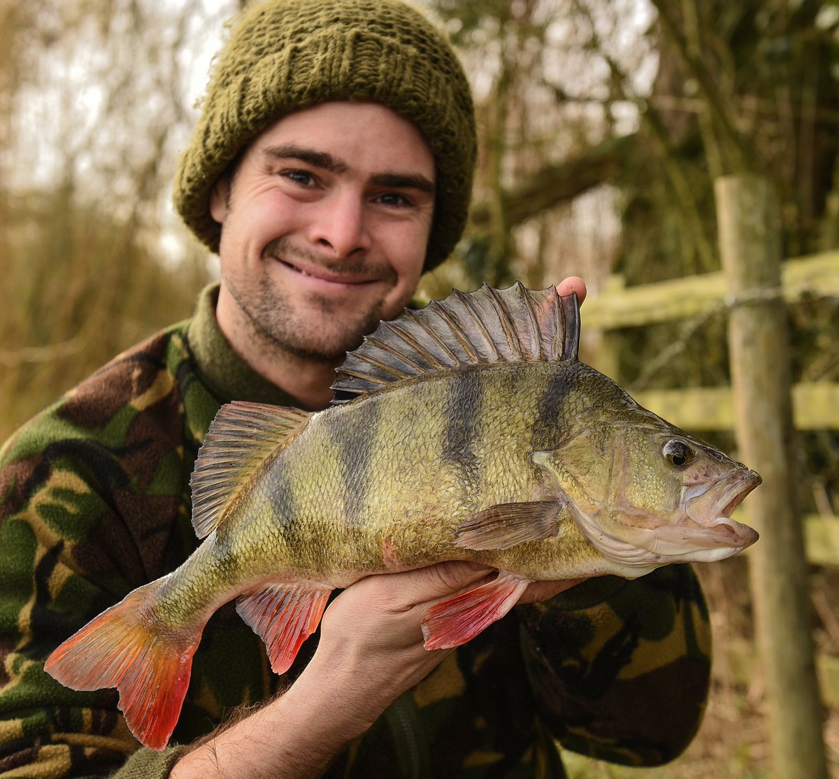 A few hours 'dog' walking resulted in this absolute dog 3.9! 😍