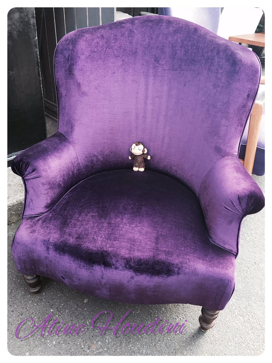 Well 😂😂😂 I think we also need this chair 🐒 to match with my new couch!!!