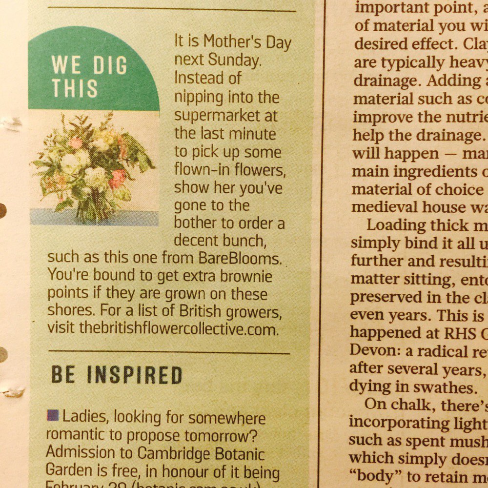 ..great mention for us florist members of <a href="/BritishFlowerCo/">FlowerCollective</a> today in @thesundaytimes
constancerose.co.uk