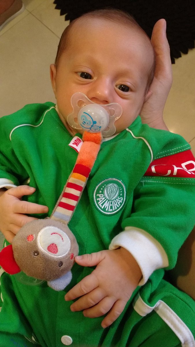 filipeserafasep's tweet photo. Aqui em casa tem alguém que já está pronto #VamosPALMEIRAS #AvantiPalestra #RaçaPorco #2016Verde #PalmeirasKids https://t.co/5iy6ddmeXK