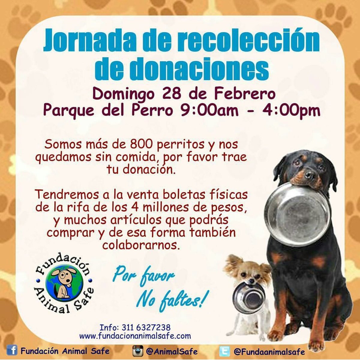 FundaAnimalSafe's tweet photo. Ayudanos por favor https://t.co/Lilr0HOcHL