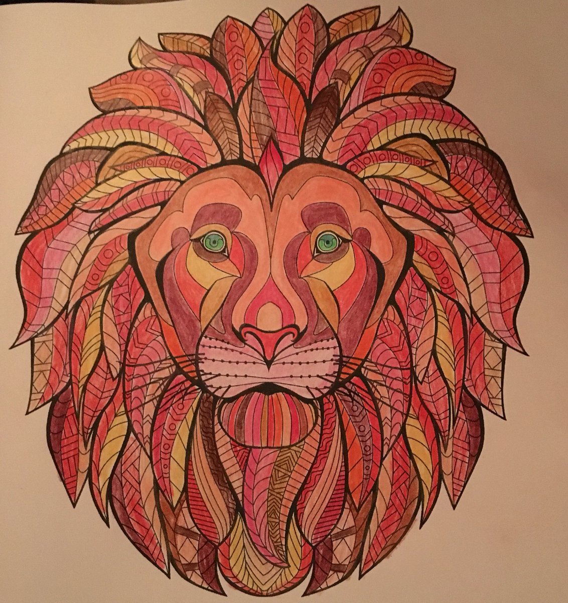 #kingofthejungle #adultcolouringbook @meg_cowley <a href="/ColoringAdult/">AdultColoring Books</a> <a href="/colouringbks/">Colouring Creations</a> #theexoticcolouringbook #loveit