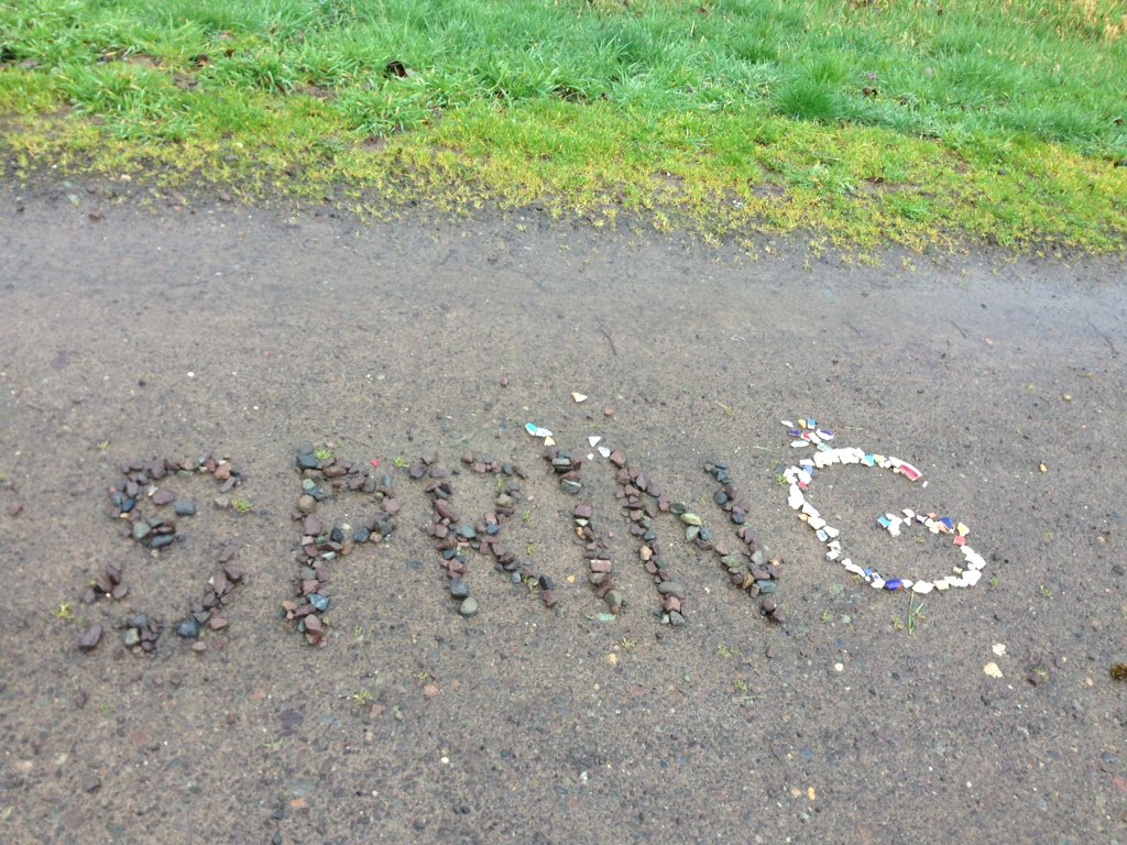 KristinOkinaka's tweet image. Literally ran into #spring on today's long run! #seenonmyrun #oisellevolee