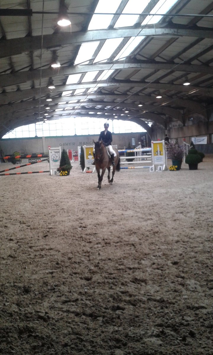 DaphnyGbr's tweet image. Watching an exiting competition! #horses #1m30 #high
